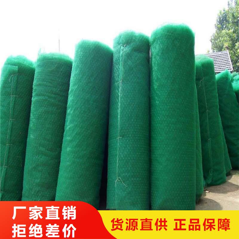 三维护坡植草网尺寸