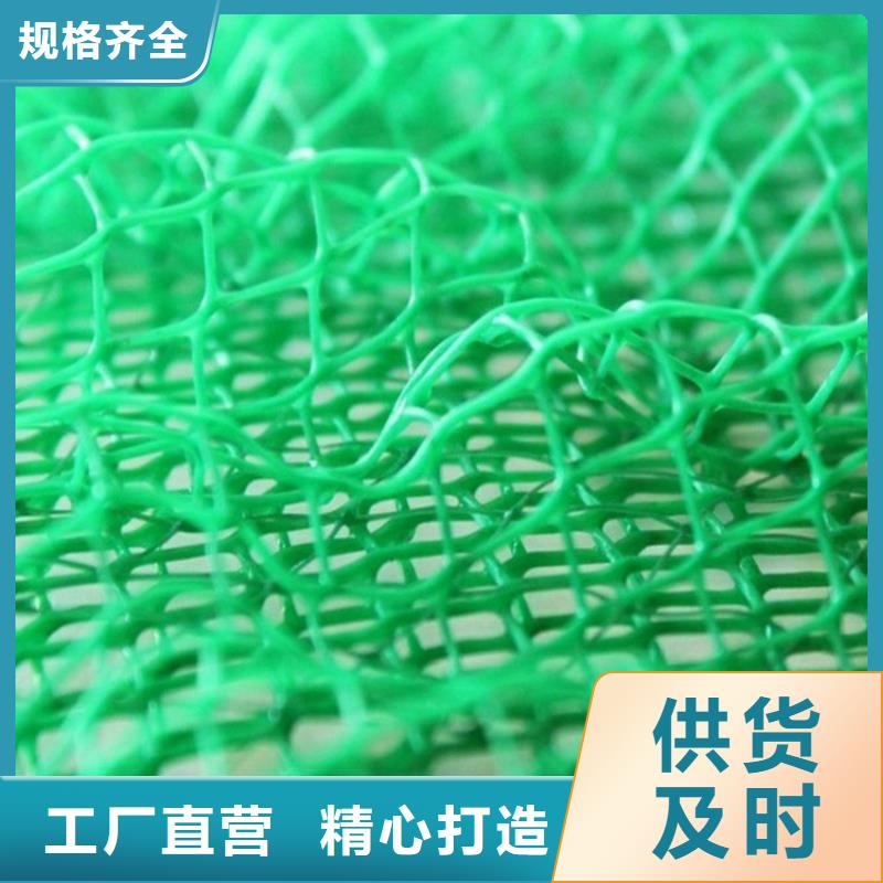 三维植被网_生态袋一站式采购商家