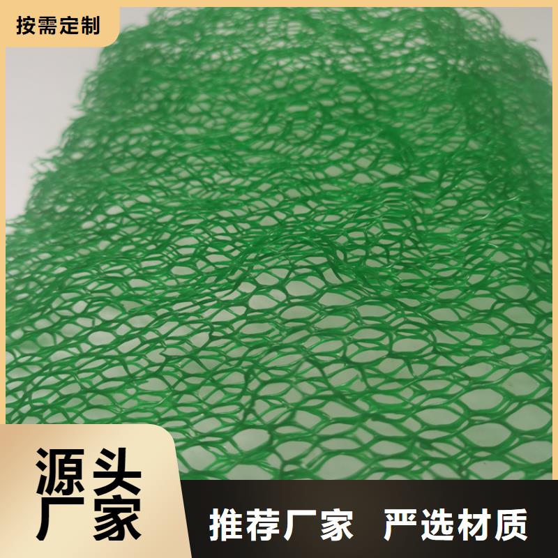 三维植被网加筋EM4