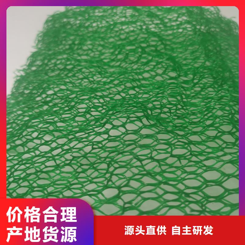 三维固土网垫型号