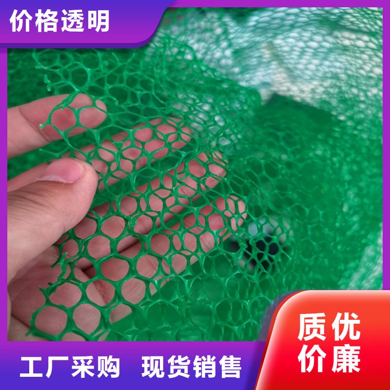 三维植被网生产厂家