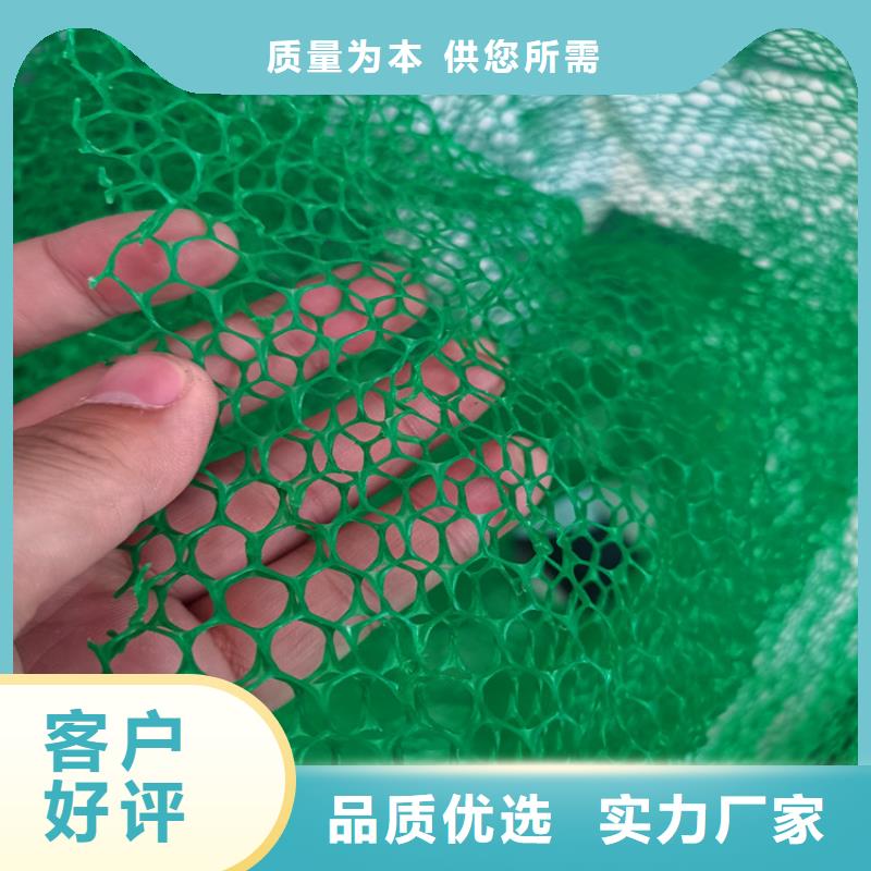 三维植被网市场经销