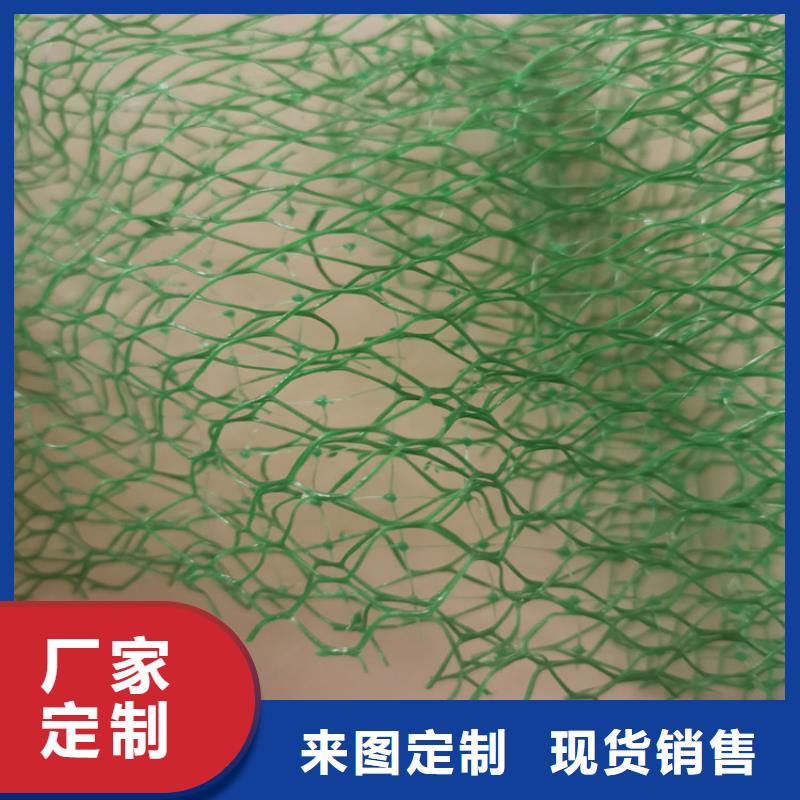 三维植被网-软式透水管多年实力厂家