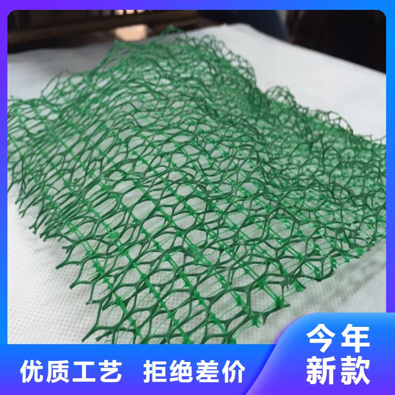 固土护坡三维固土网垫