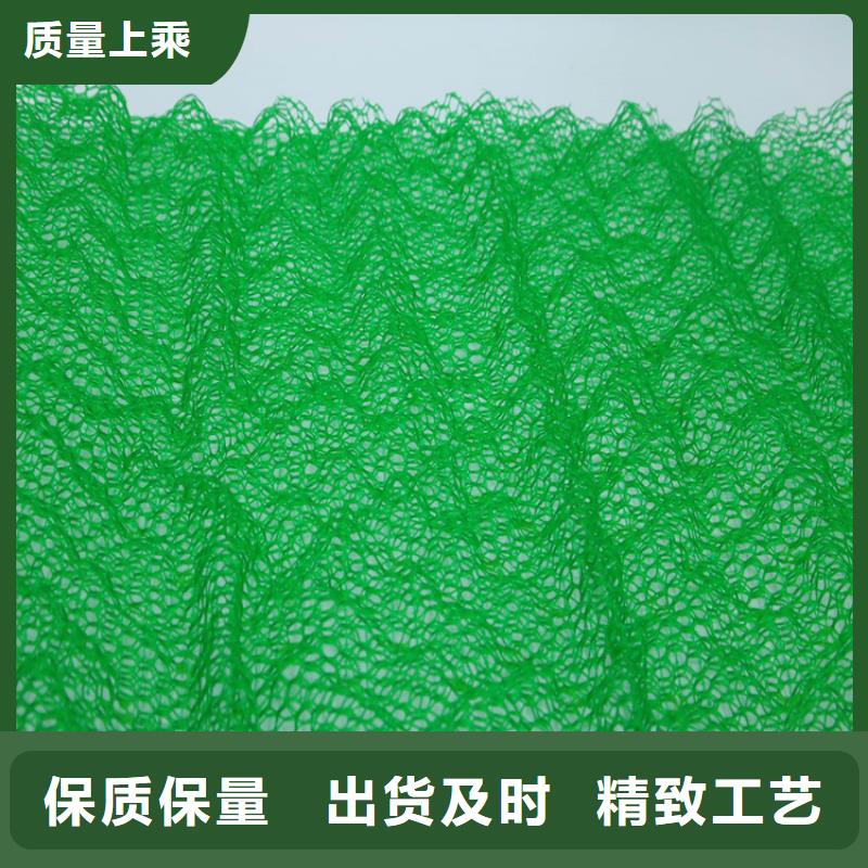 三维护坡植草网垫环保塑料
