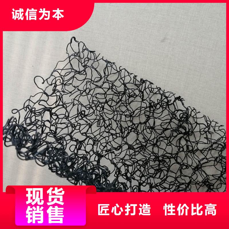 生态水土保护毯边坡绿化A20