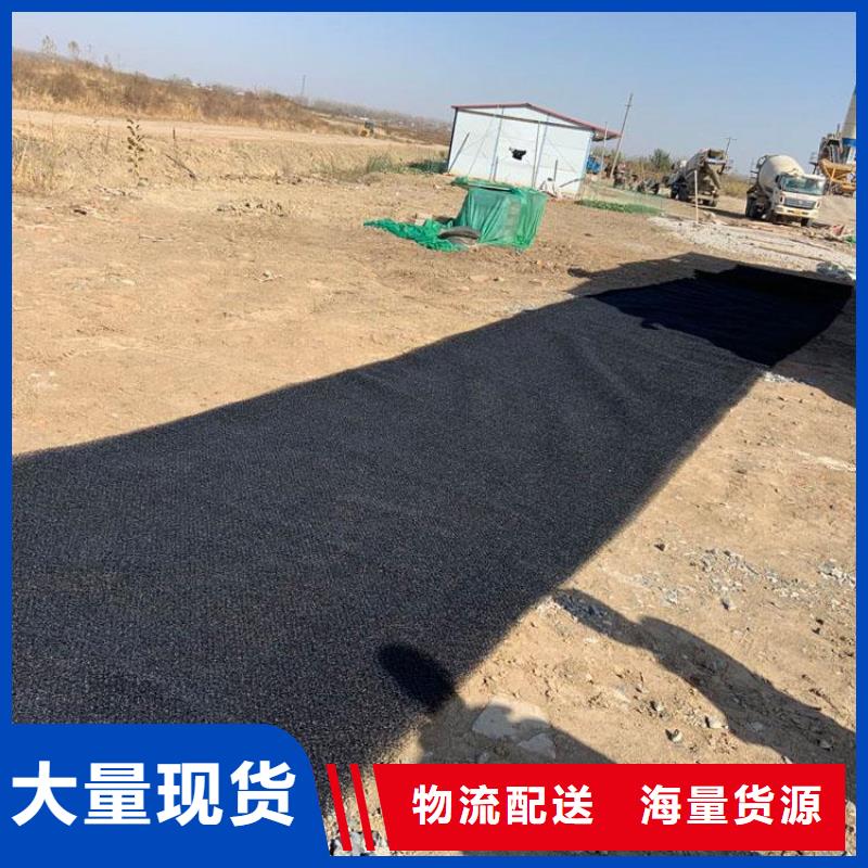 【水土保护毯】膨润土防水毯诚信厂家