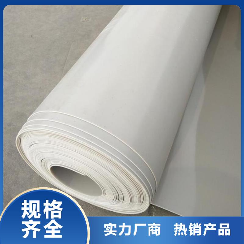 防水板,排水板供您所需