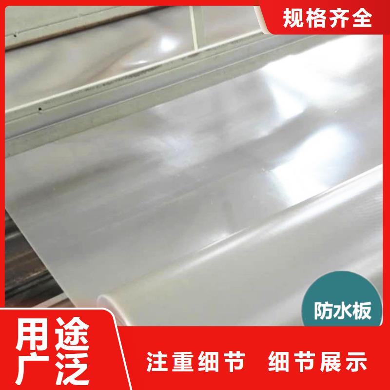 Ecb塑料防水板