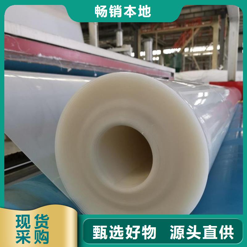 防水板土工膜精选厂家好货