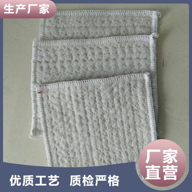 膨润土防水毯【植草格】匠心品质