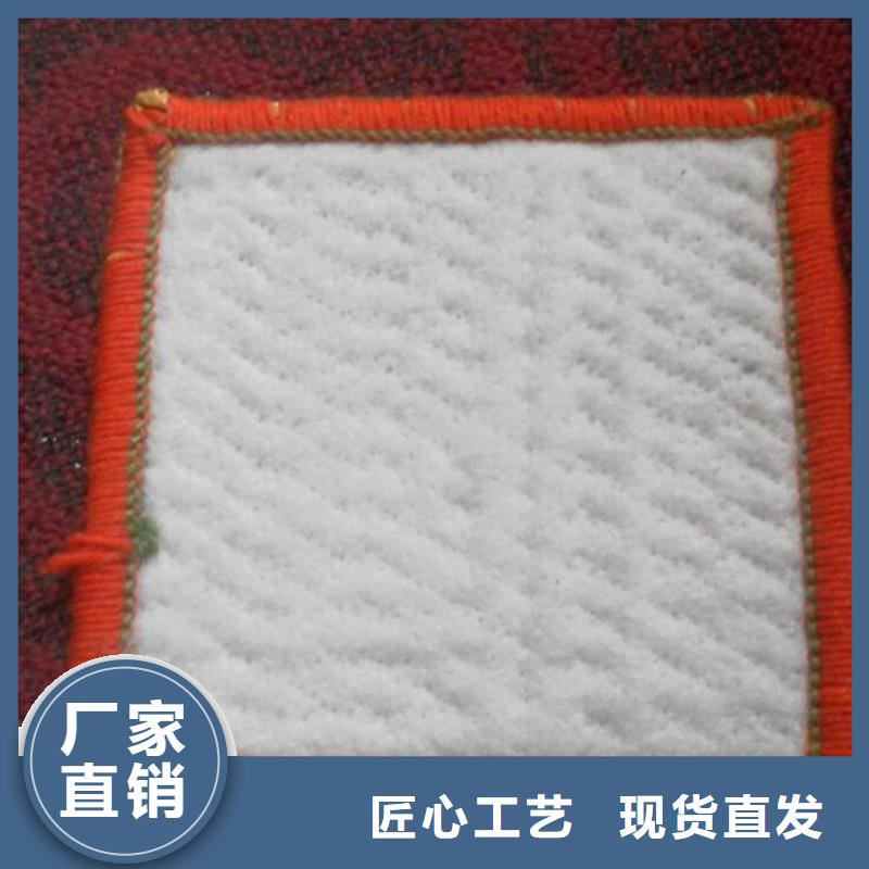 膨润土防水毯【植草格】匠心品质