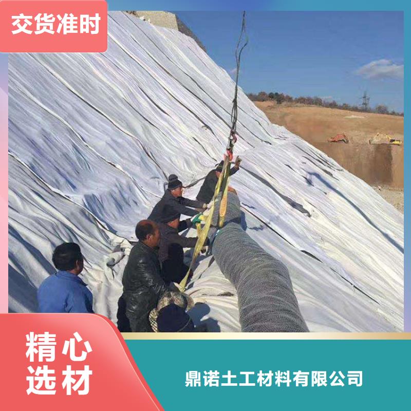 6000g钠基膨润土防水毯
