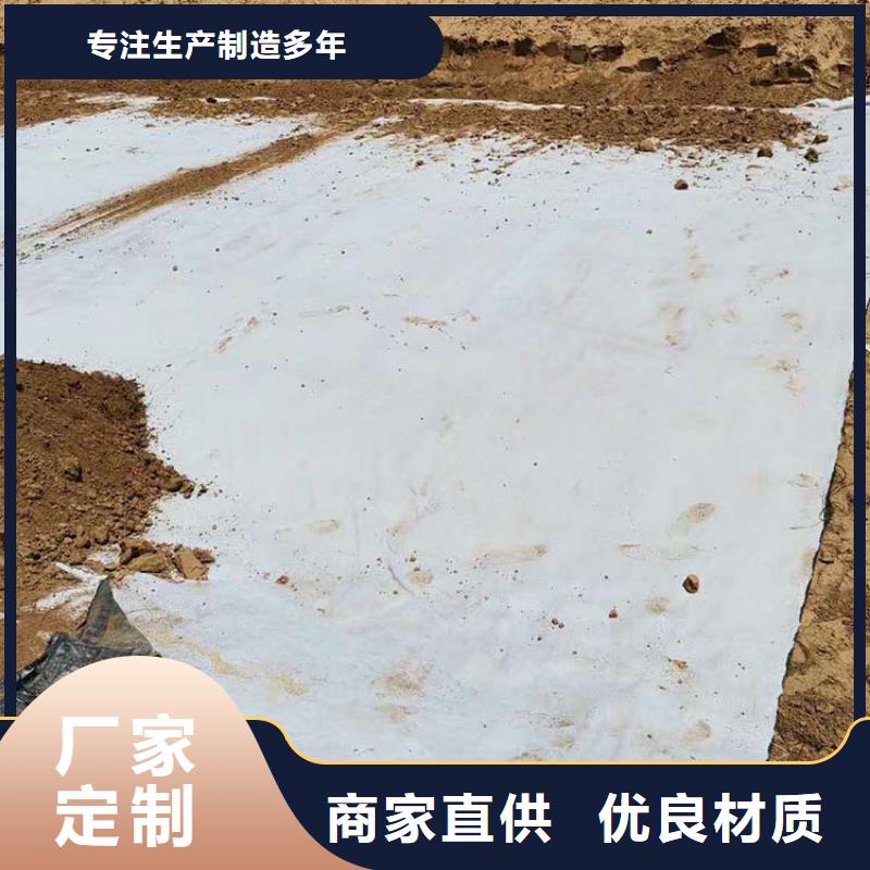 垃圾场膨润土防水毯GCL哪里有卖的