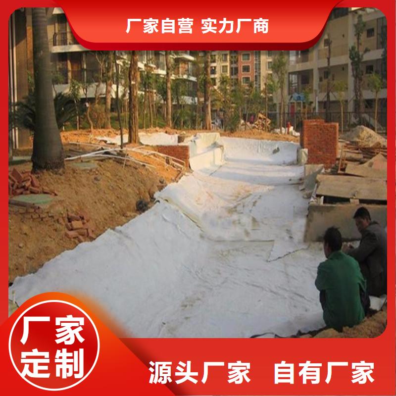 膨润土防水毯【植草格】匠心品质