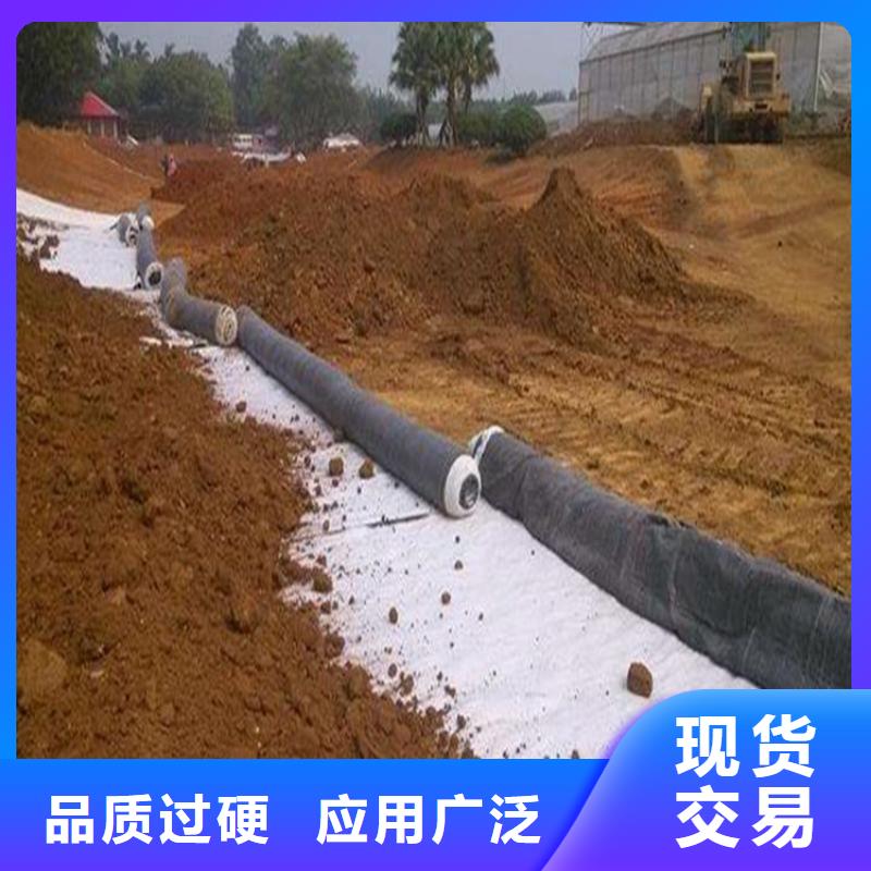 钠基膨润土防水垫