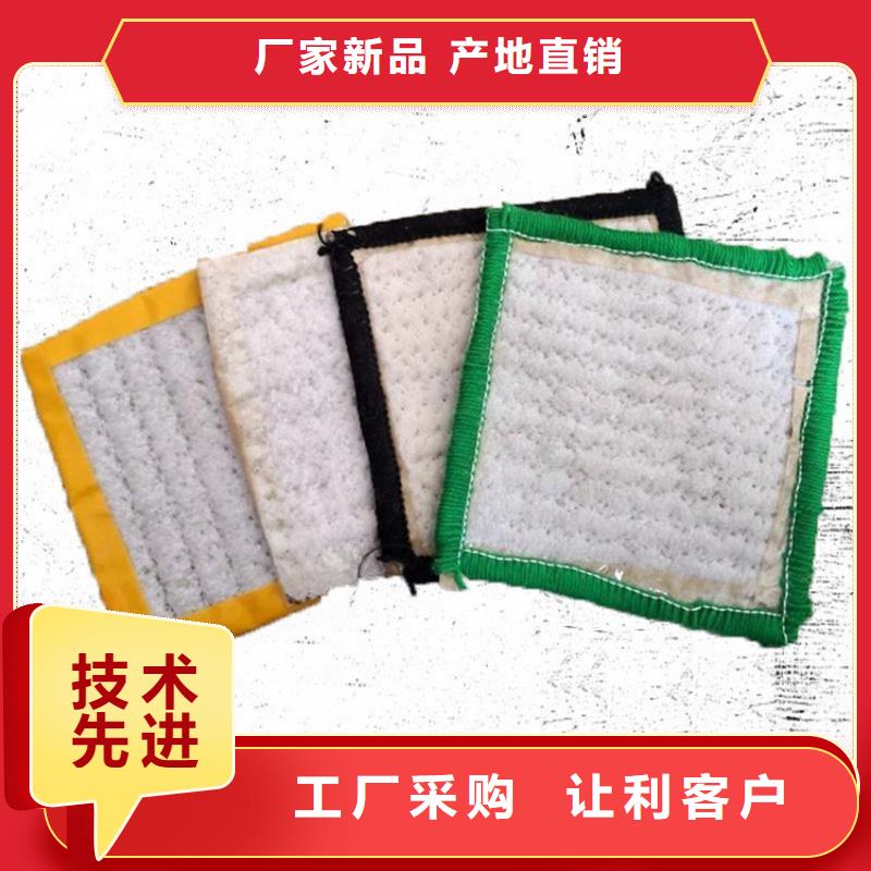 膨润土防水毯【植草格】匠心品质