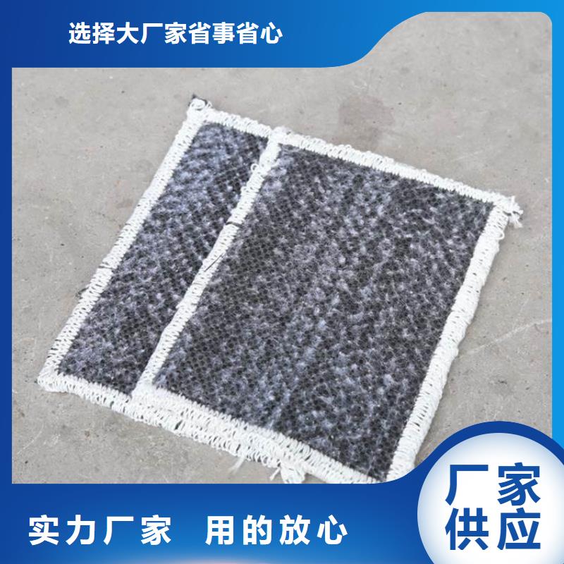 膨润土防水毯【植草格】匠心品质