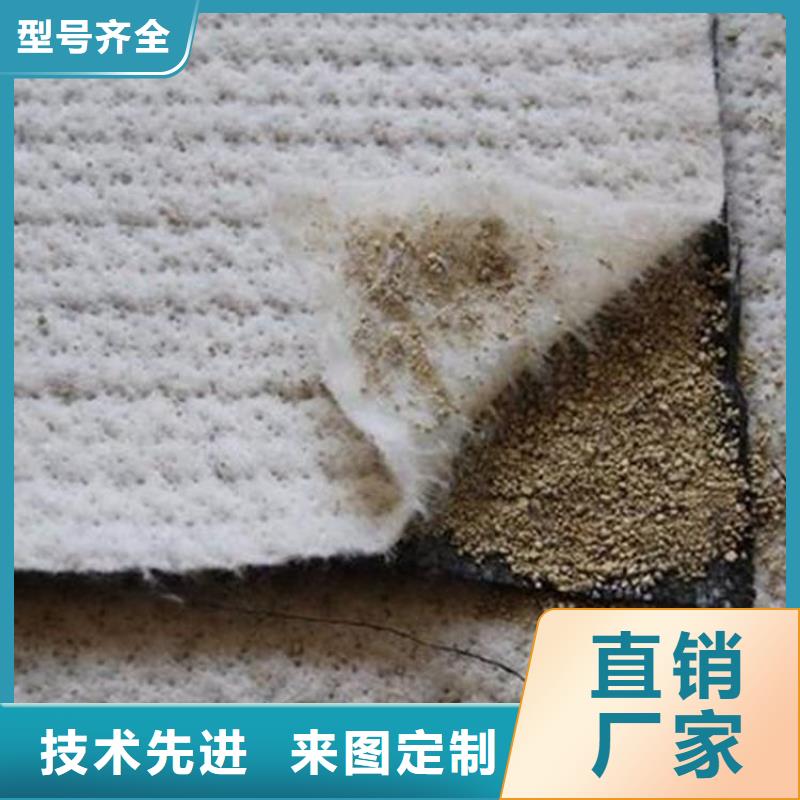 膨润土防水毯【植草格】匠心品质