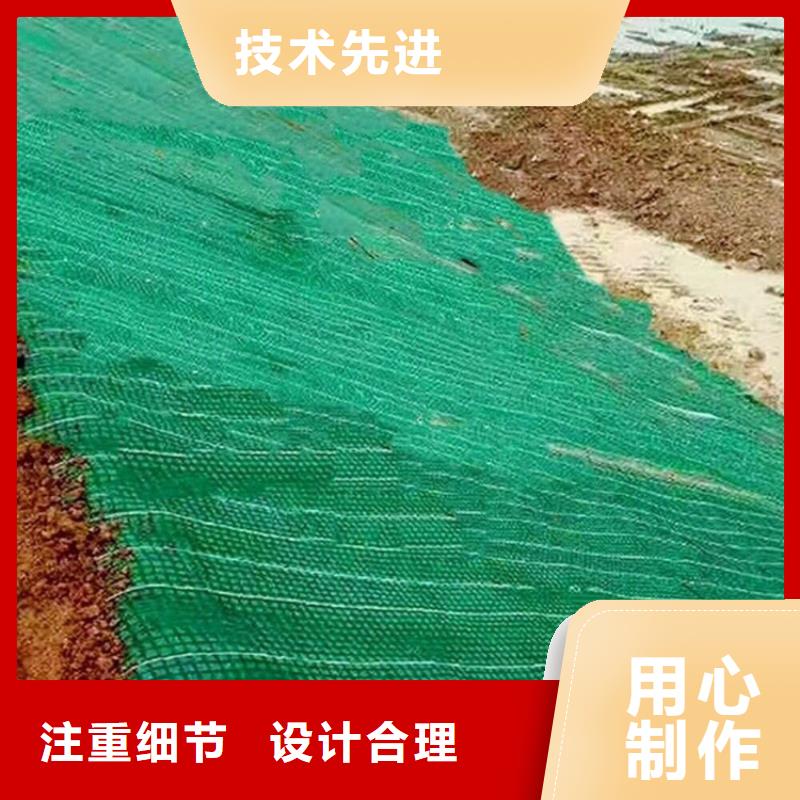 加筋抗冲生态毯资讯