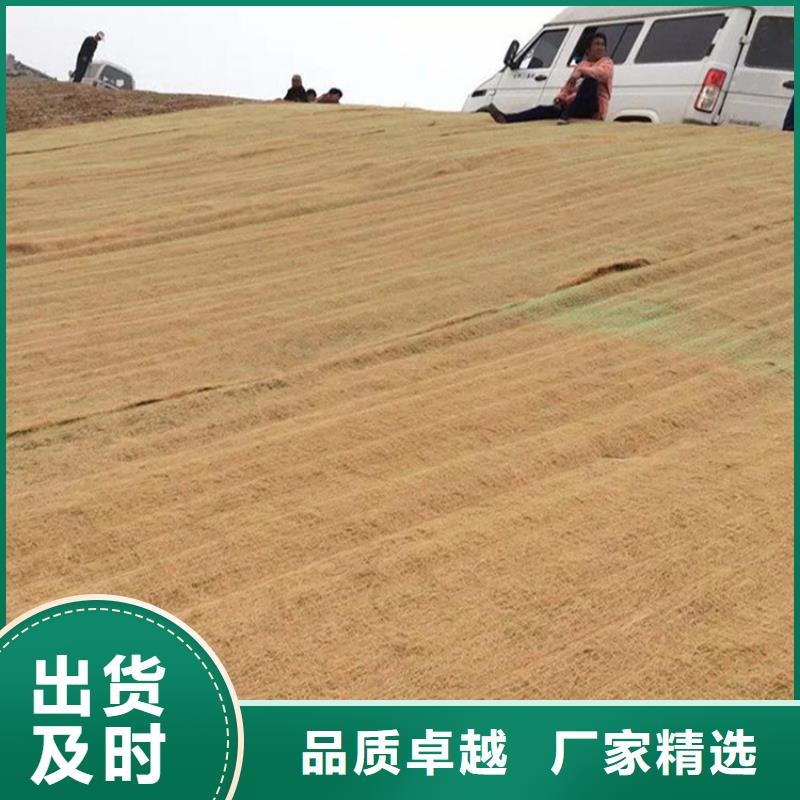 环保草毯生产厂家
