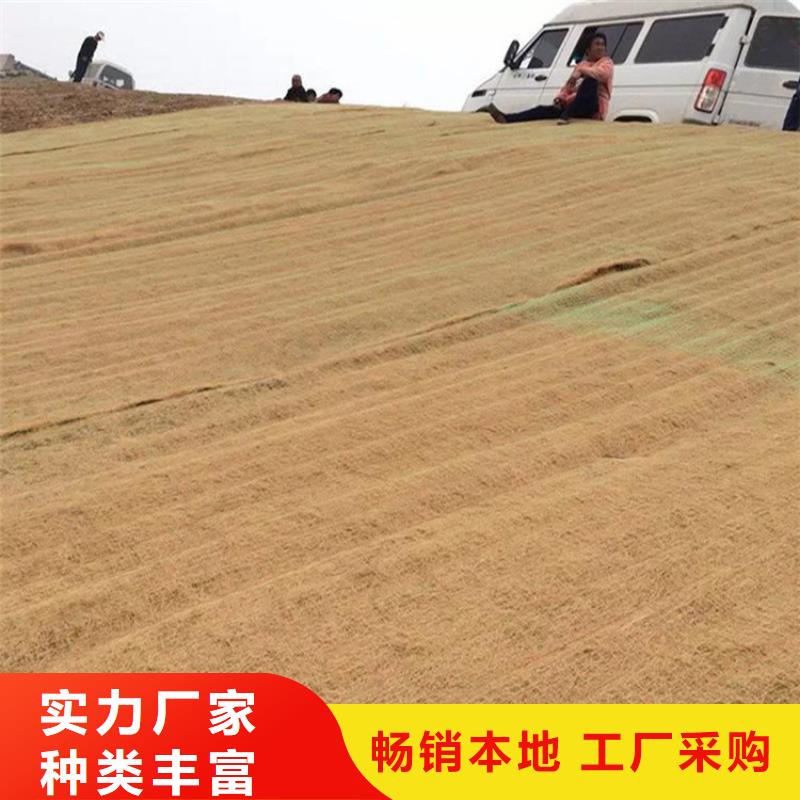 植被纤维毯可定制