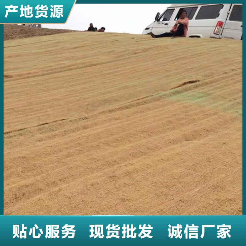 护坡生态草毯厂家供货