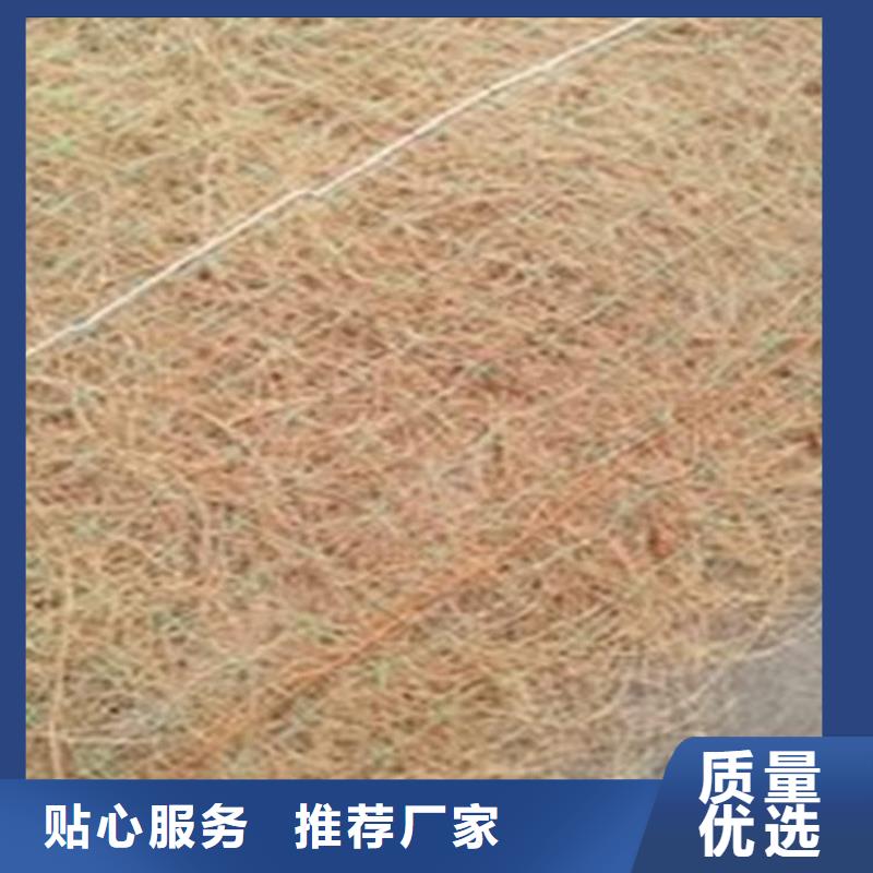 加筋抗冲生态毯生态植物防护毯
