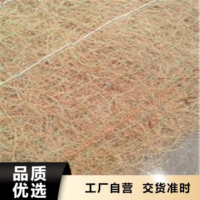 植物纤维毯PP加筋椰丝毯