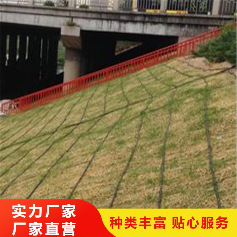 椰丝毯防水板N年大品牌