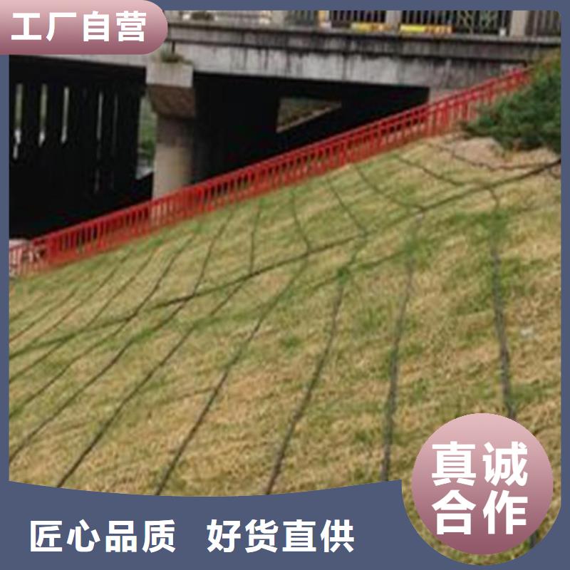 椰丝毯防渗膜发货及时