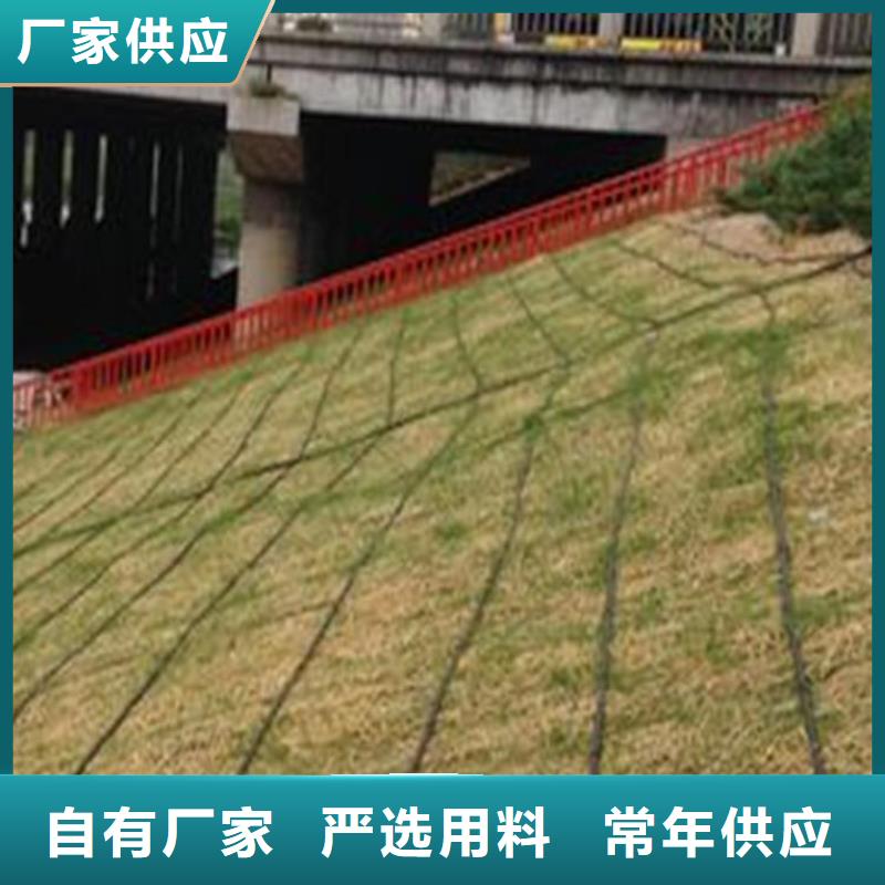 椰丝毯防水板N年大品牌