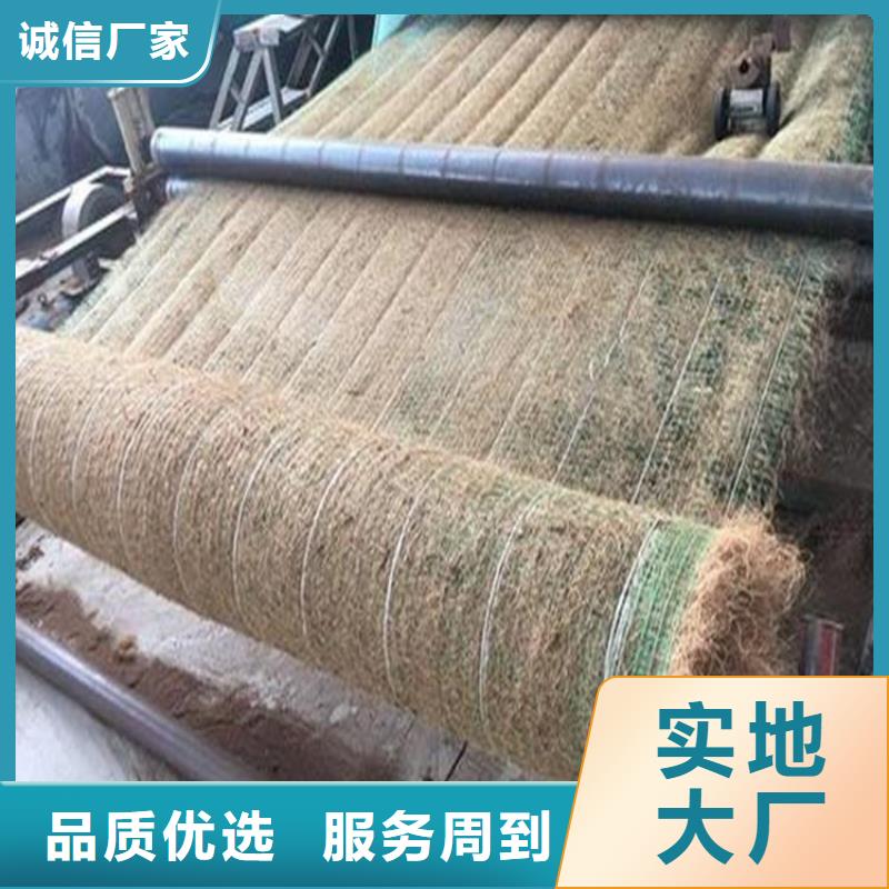 环保草毯全国送货