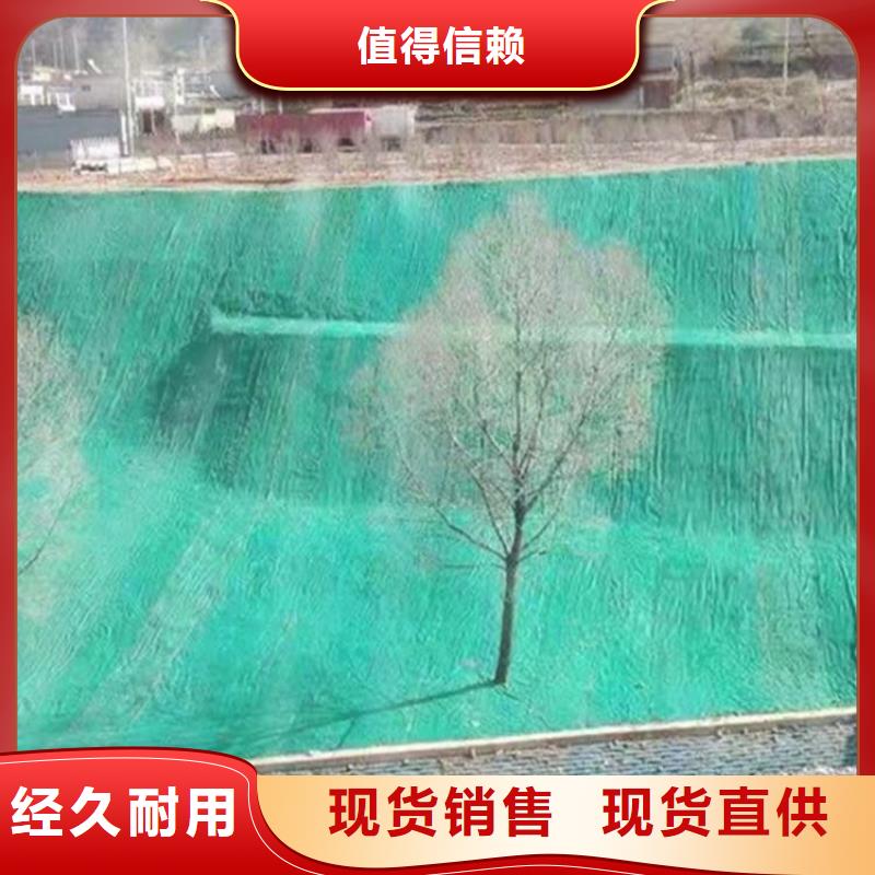 椰丝毯_通风降噪丝网厂家工艺先进