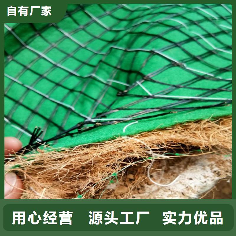 水保植物纤维毯