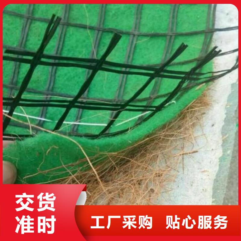 椰丝毯_防渗土工膜拥有多家成功案例