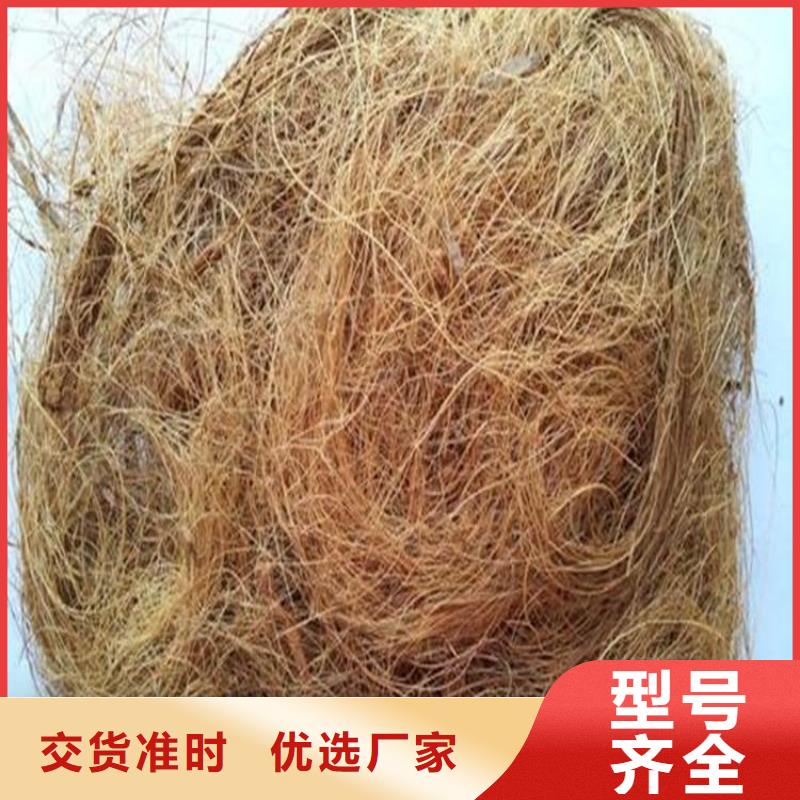 抗冲刷生态毯
