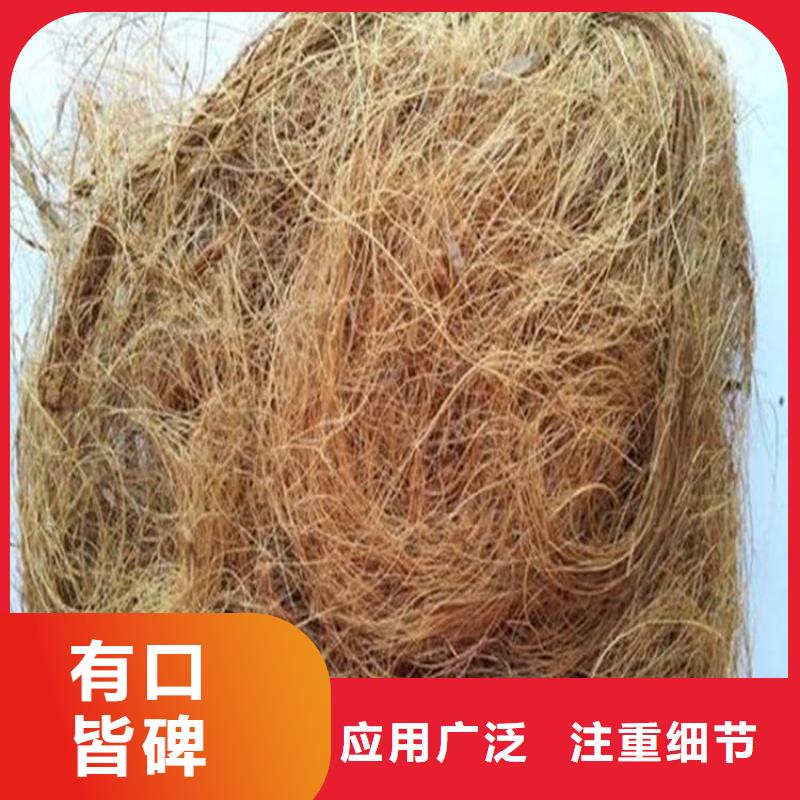 生态抗冲毯代理批发