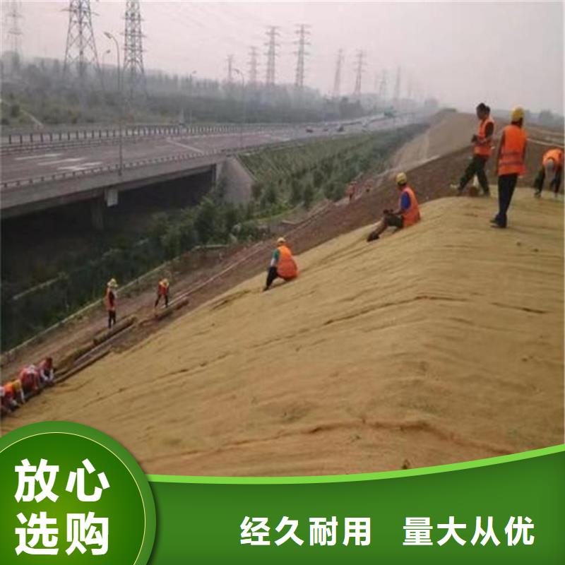 护坡生态草毯厂家供货