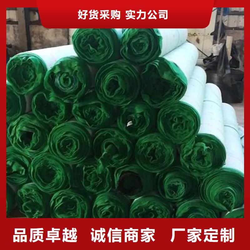 环保草毯护坡植被植草毯