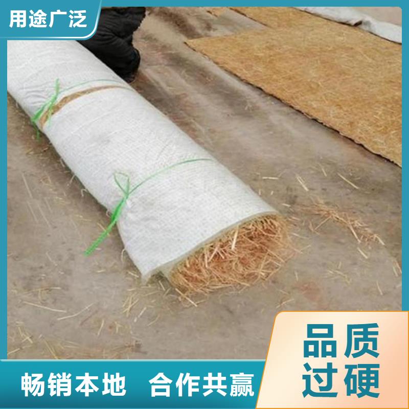 加筋抗冲生态毯资讯
