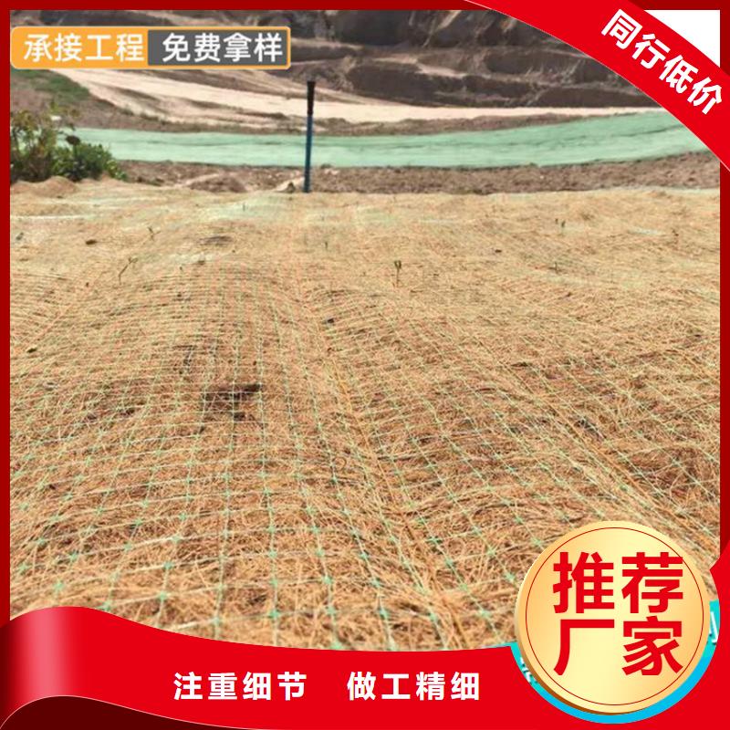 边坡植物防护毯经销代理