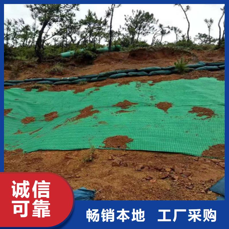 护坡生态草毯