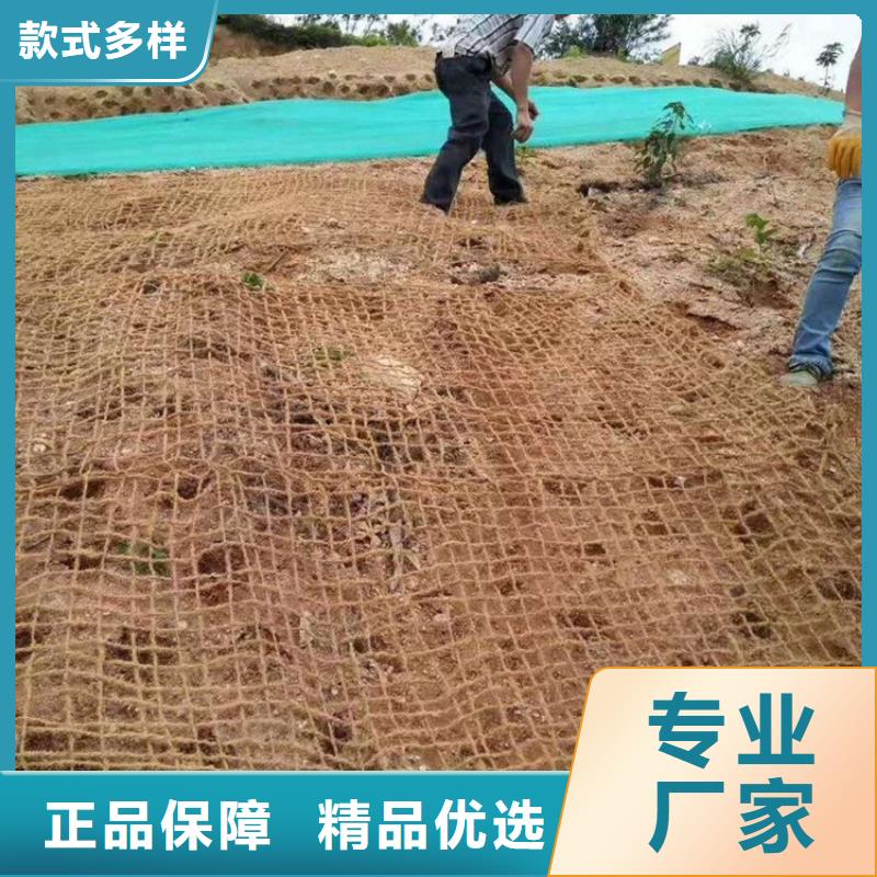 环保草毯护坡草毯