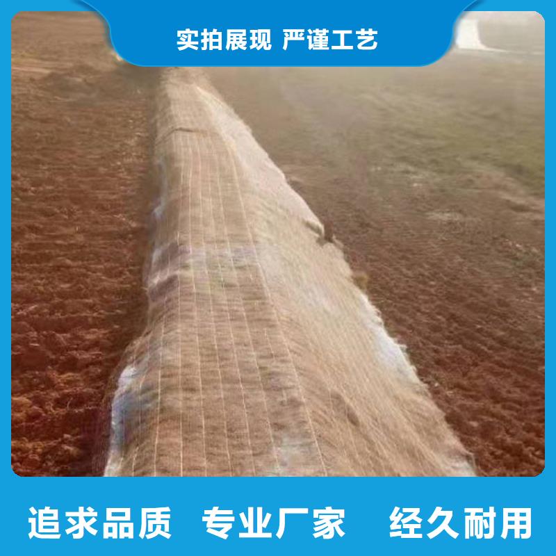 护坡生态草毯