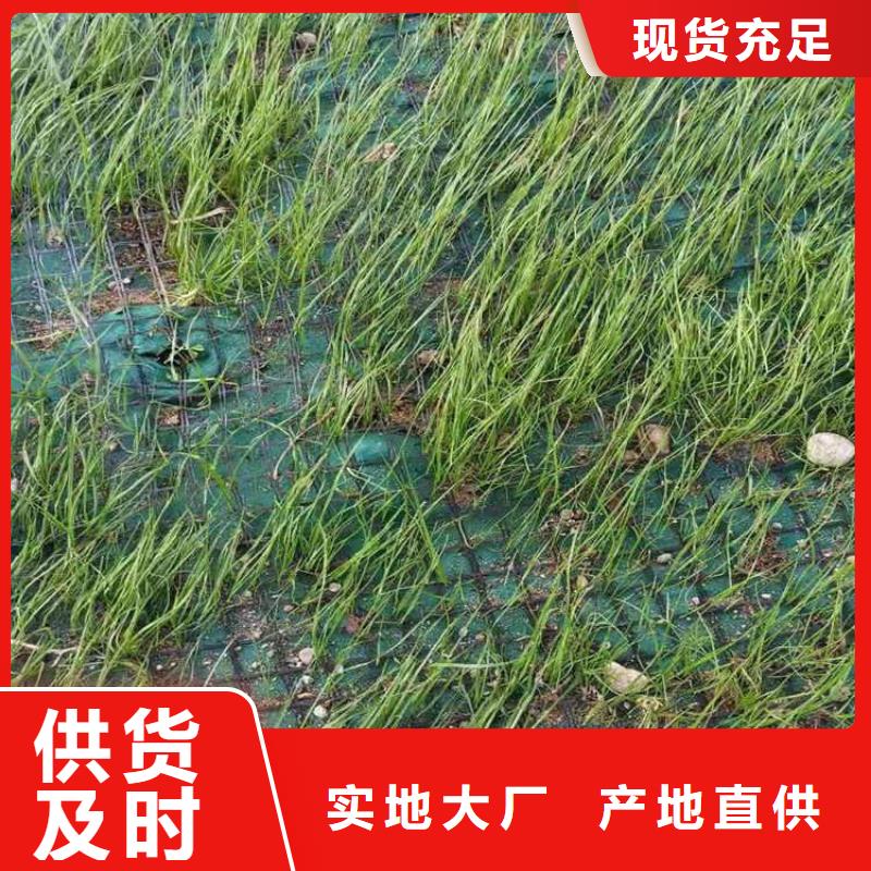 生态植物防护毯