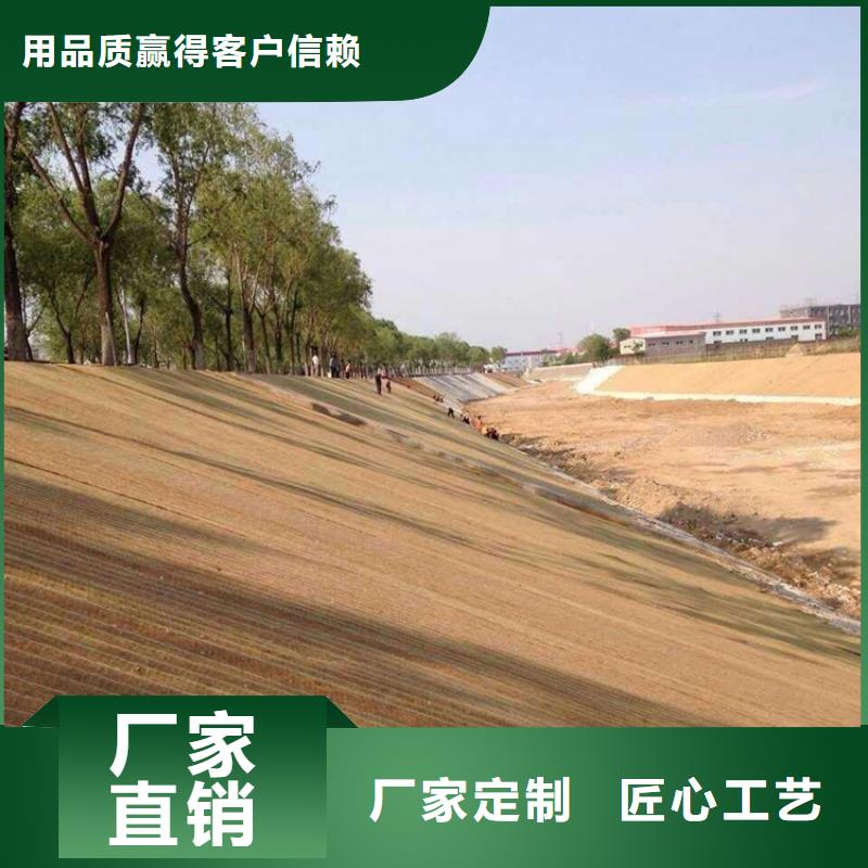 椰丝毯_防渗土工膜拥有多家成功案例