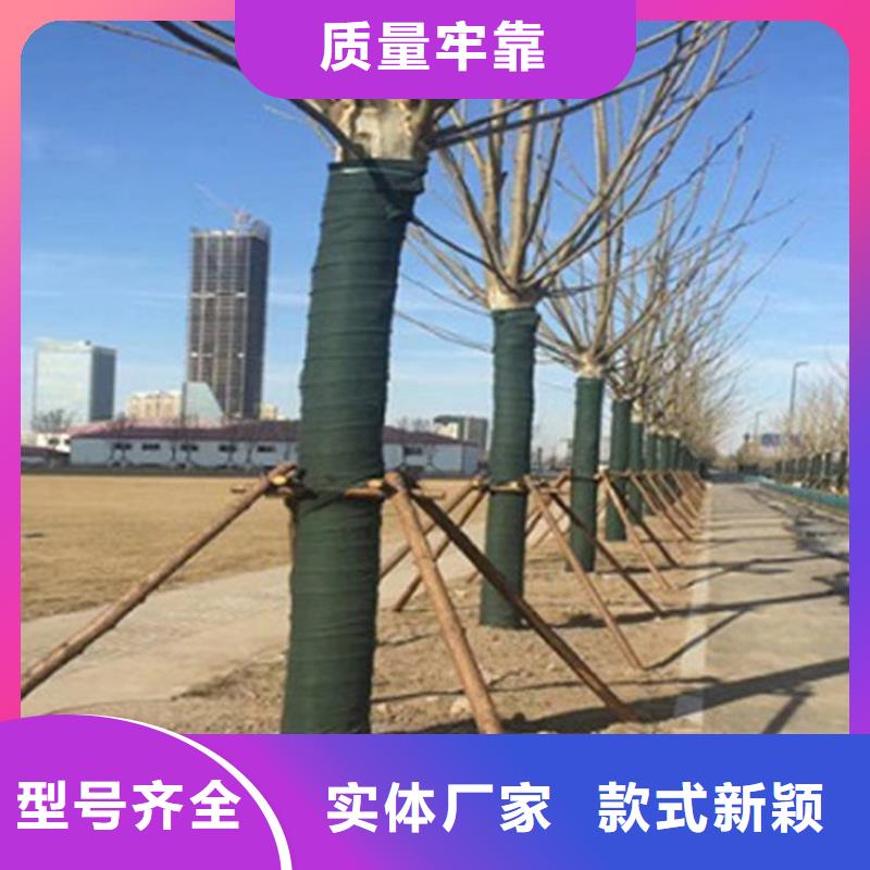 【裹树布】,抗裂贴货源直销