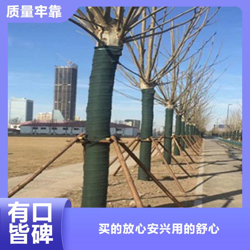 大树包树布市场经销