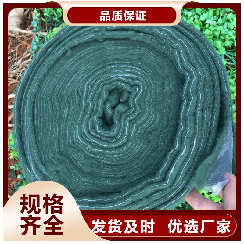 【裹树布】,抗裂贴货源直销